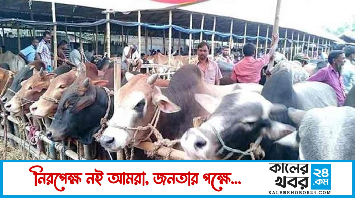 সারাদেশে জমে উঠছে কোরবানির পশুর হাট